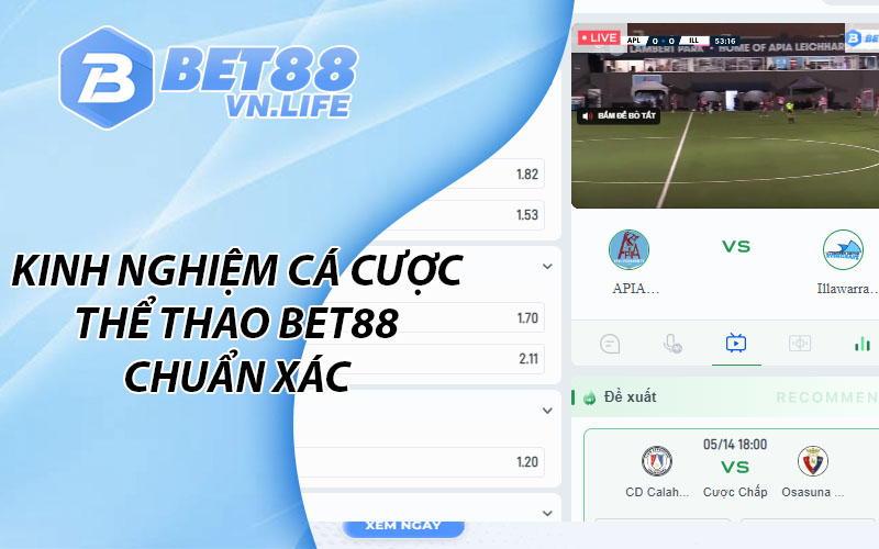 Kinh nghiệm cá cược thể thao BET88 chuẩn xác