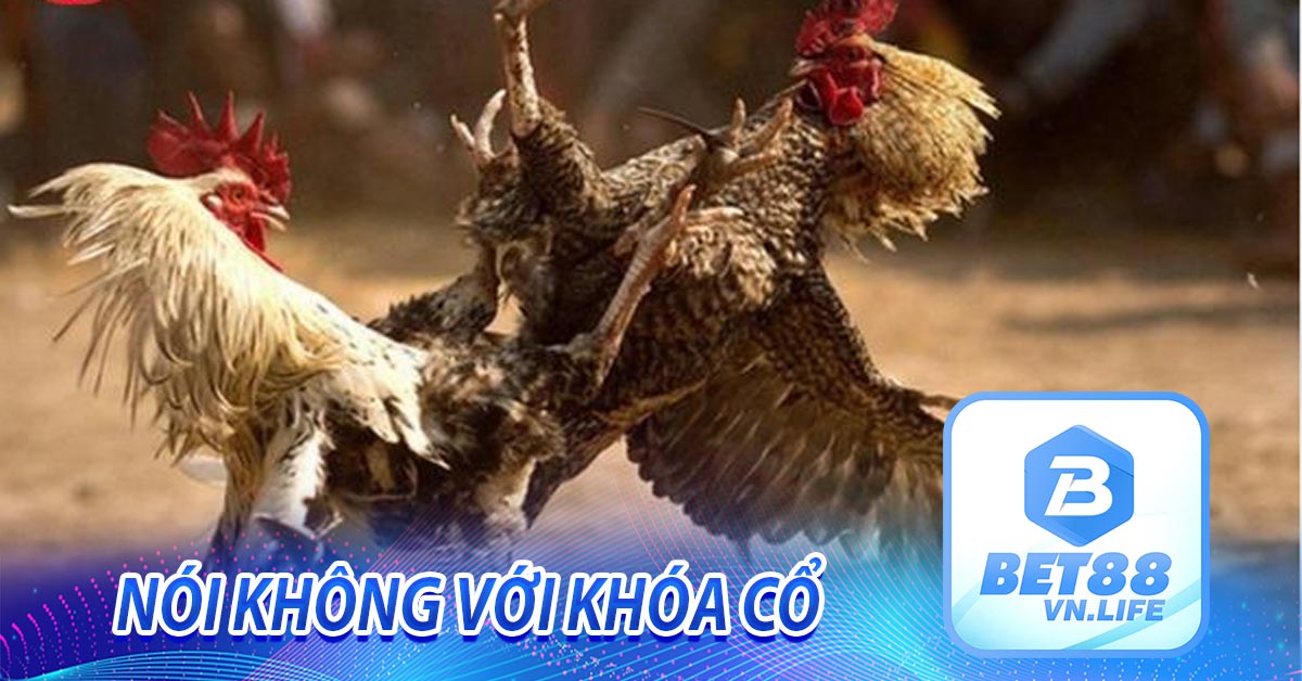 Nói không với khóa cổ