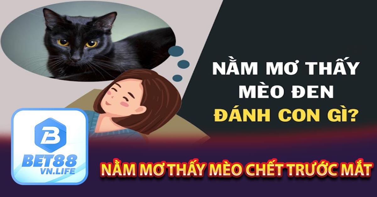 Nằm mơ thấy mèo chết trước mắt